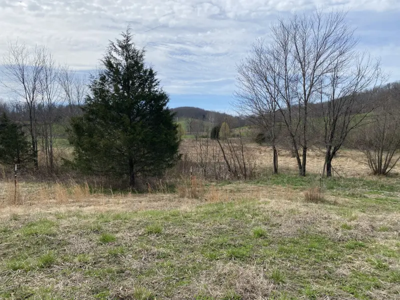 A field of grass spotted with trees